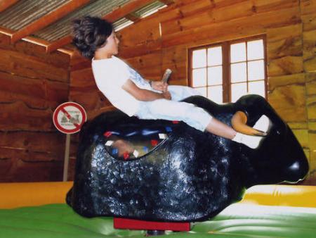 LE TAUREAU MECANIQUE